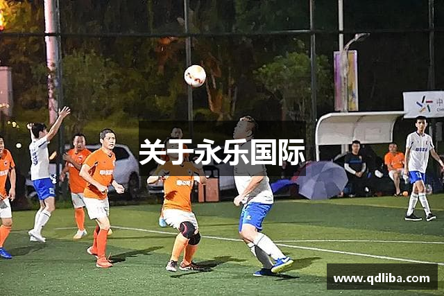 关于永乐国际